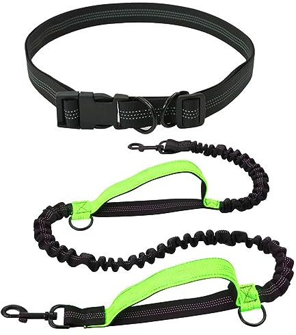 Freihändige Hundeleine Joggingleine Hunde mit Bauchgurt Elastische Freihandleine Laufleine Einziehbare Ruckdämpfend Hundeleine mit Doppelgriff Taillengürtel für Wandern Laufen Mittelgroße Große Hunde