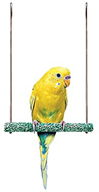 PENN-PLAX Bird-Life Trimmer Plus Cement & Metal Swing – Naturally Trims Nails & Beak – Great for Parakeets, Cockatiels, Finches, and Other Small Birds – Small Size