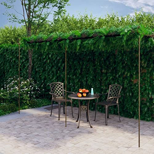 Chaduof Pergola Marrone Anticato 6x3x2,5 m in Ferro, Pergolato da Giardino Antico Marrone