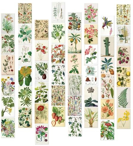 Confezione da 50 vivaci cartoline artistiche paesaggistiche per decorazione da parete, scrapbooking e biglietti di auguri, paesaggi naturali, decorazione per la casa, inviti, biglietti decorativi