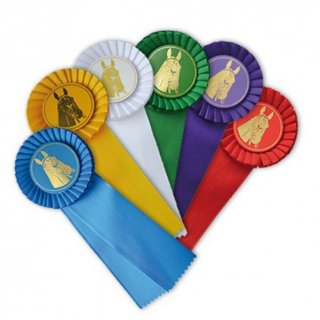 Hispano-Reiten – Royal Air Force 1, blau
