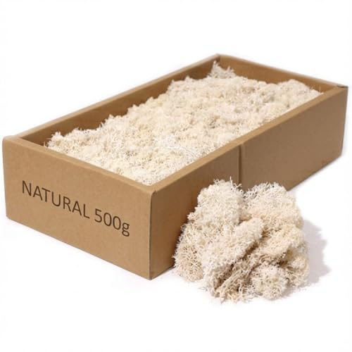 floral supplies Stabilised Reindeer Moss – Preserved Lichen for Model Scenery, Railway Landscapes, Terrariums, Floristry & Art Crafts – Soft Texture & Maintenance Free (Natural Vibes, 100g)