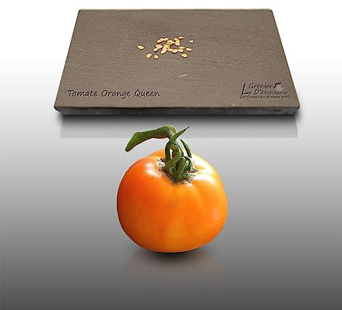 25 grainesà semer - Le Grenier d'Abondance - TOMATE Orange Queen - Solanum lycopersicum