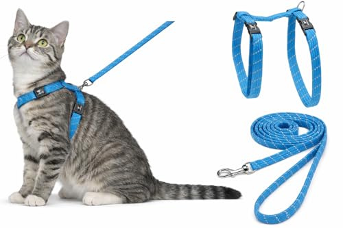 Harnais pour Chat - Elza Bleu - 22-32cm - 27-46cm - Laisse 110cm - Nylon réglable - réfléchissant - avec Mousqueton