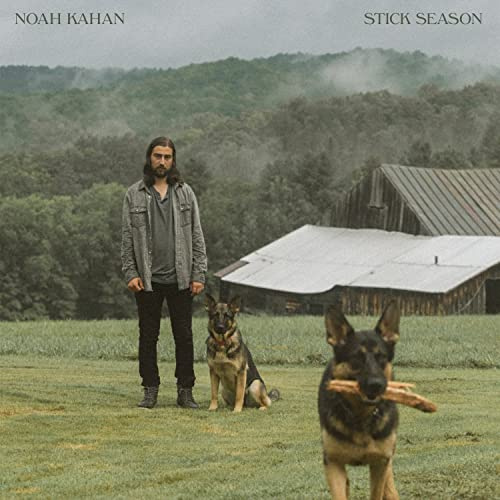 Stick Season [Vinyl LP]