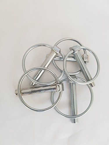 Ama Spina a scatto: 5 spine a scatto da 11 mm, Altezza 56 mm, Per alberi di 30-38 mm