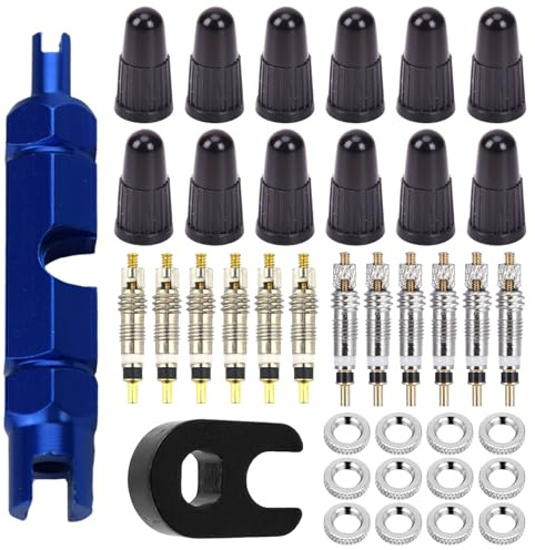 Juego de 38 válvulas para bicicleta, incluye inserto de válvula, tapas de válvula de bicicleta, llave y tuerca, adaptador de válvula francesa, adecuado para bicicletas y bicicletas de montaña