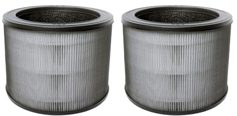 AllSpares Allt-i-ett luftfilter O (2x) för luftrenare lämpligt för Winix Zero Compact