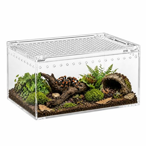 Akrylterrarium, miniterrarium, litet med 360° panoramautsikt – rymningssäker, lätt att rengöra insektslåda för reptiler, spindlar och skalbaggar