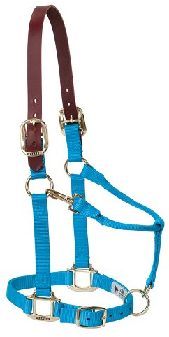 Weaver Leather - Cabestro Ajustable de Piel y Nailon para Caballo, pequeño, Azul grisáceo