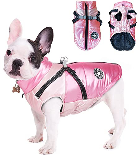 Perro Chaqueta Otoño Invierno, RosyFate Chaleco Mascota Pequeño, Abrigo Perro Pequeño Impermeable, Ropa Invierno Perro Pequeño, Cálido Chaleco Prueba de Viento (Rosa M)