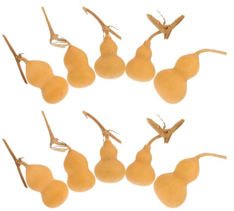 DECOMELODY 10 Pezzi Decorazioni a Forma di Zucca Mini Naturali 4-6 Cm Artigianato Zucca Ornamentale per Casa Ufficio Soggiorno Regalo Simbolico