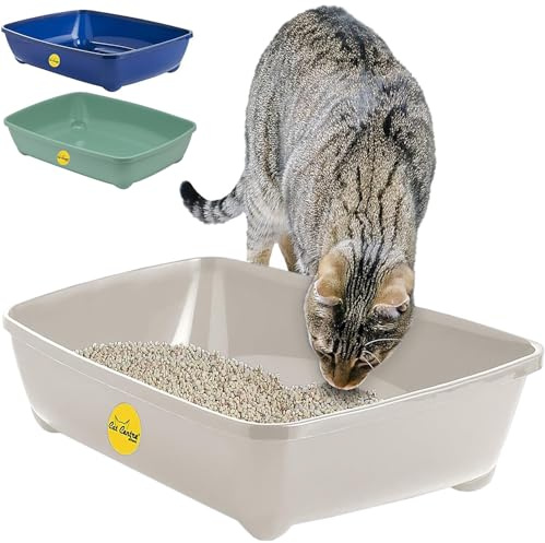 CAT CENTRE Grey Jumbo Open Cat Litter Tray 56cm XL Pet Toilet Kitten Easy Clean Plastic Portable Pan Loo Box Rounded Corners - Indoor & Outdoor - Kittens Adult Elderly Cats Trays