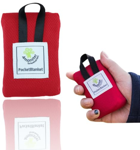 BCHKO 1pcs Mini Picknickdecke Ultraleicht ultradünne tragbare Stranddecke, Outdoor Decke für Strand, Picknick, Camping und Wandern (70 x 110 cm) (red)