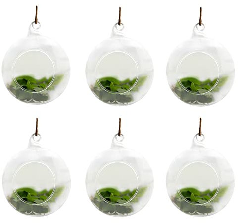 JFBUCF 6 macetas colgantes de cristal para terrario, 10 cm, redondo, contenedor transparente para colgar velas, bricolaje, hogar, jardín, boda, fiesta, decoración