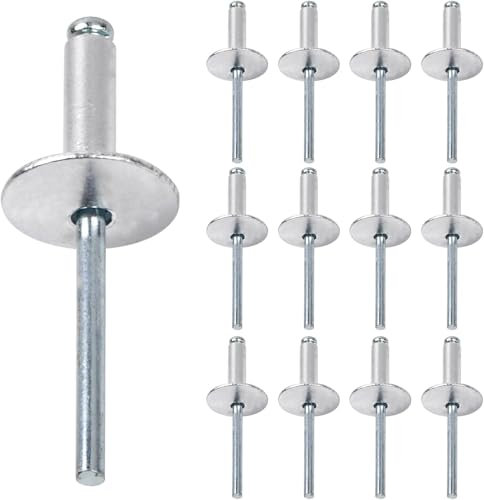 Lot de 60 rivets aveugles en acier inoxydable - 4,8 mm x 20 mm - Rivets aveugles robustes pour métal, plastique, bois - Rivets en acier résistant à la corrosion - Montage facile