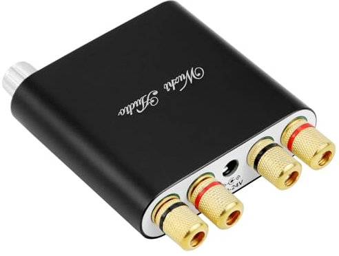 QWORK® Bluetooth Mini Amplifier HiFi 100W X 2 Dual Channel Stereo Amplifier with AUX USB Inputs for Passive Speaker