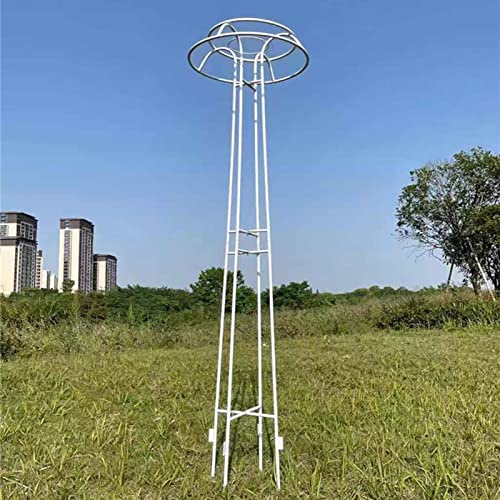 Obelisco da Giardino per Esterni, Traliccio da Giardino in Metallo, Supporto per Piante rampicanti e Fiori, Struttura a pilone Tipo Ombrello, per rampicanti, ortaggi, Viti, Rose e pomodori (