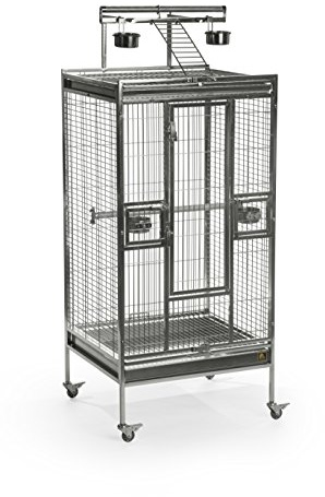 Prevue Pet Products Stainless Steel Playtop Bird Cage - Ideal for Cockatiels, Quakers, Green Cheek Conures, Parakeets, Lovebirds, Small Amazons, Parrots, Rolling Enclosure - Stainless Steel, Medium