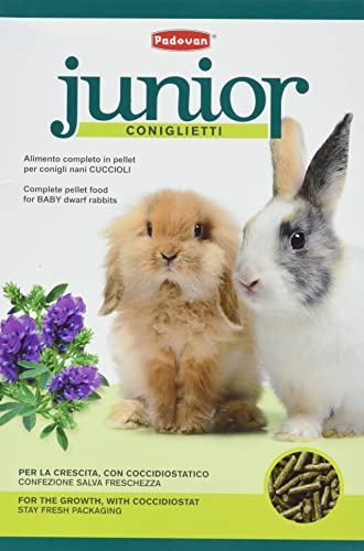Padovan Junior Conejitos – Pellets para Conejos Enanos Cachorros – Alimento Completo – 850 gr