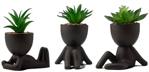 LUNIER Seated Succulent Set (Set of 3) | Porcelain Pots with Small Artificial Plants (Indoor) | Faux Plant for Indoors | Bedroom, Office Desk, Bathroom Plant-Set | Small Fake Plants, Shelf Decorations