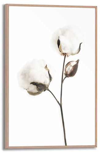 REINDERS Gerahmtes Bild, Baumwollzweig, Wohnzimmer, Bilder, Wanddeko, Room Decor, MDF, Schwarz-Weiß, 30 x 20