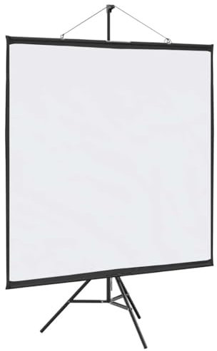 vidaxl projection screen with tripod - 67 inch matte screen, portable polyester, iron stand - classroom, home theater, conference versatility
