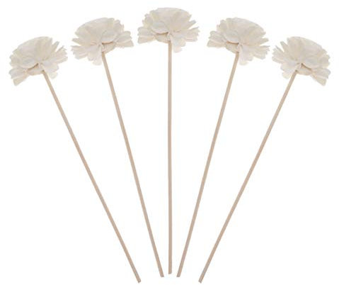 SUPVOX Aromatherapy Dried Flowers Reed Diffuser Sticks Natural Flower Head Rattan Diffuser Reeds for Essential Oils Home Office Bathroom Fragrance Decoration