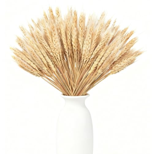 100pcs Blé Seche Naturel épi de Blé Fleur Sechees Decoration Epi de Blé Fleurs Sechees Naturelles Fleurs Séchées Bouquet pour Cheminée Cuisine Table Couronne de NoëL, 40cm