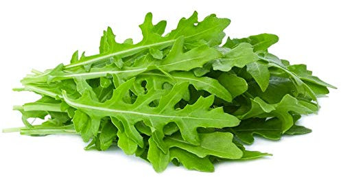 Semi RUCOLA In Busta Ermetica MADE IN ITALY Qualità superiore con 95% di germogliazione con istruzioni