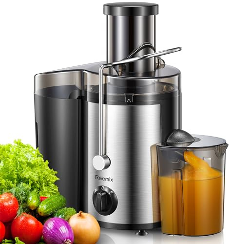 Reemix Centrifugal Juicer Machine, 3-Inch Feed Chute, 500W, 2 Speeds | Dual speed setting for varied produce. Stainless steel micro-mesh filter ensures smooth juice extraction and quick rinse
