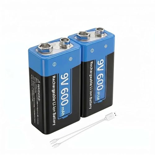 FLSTOR Batería recargable de 9 V, 600 mAh, 9 V, batería de bloque de iones de litio con cable de carga USB-C, paquete de 2