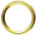 Piercingline - Piercing ad anello in acciaio chirurgico con chiusura a scatto, per setto nasale, helix, trago, colore e dimensioni a scelta, colore: oro, cod. SLX280-GO-0,8-6