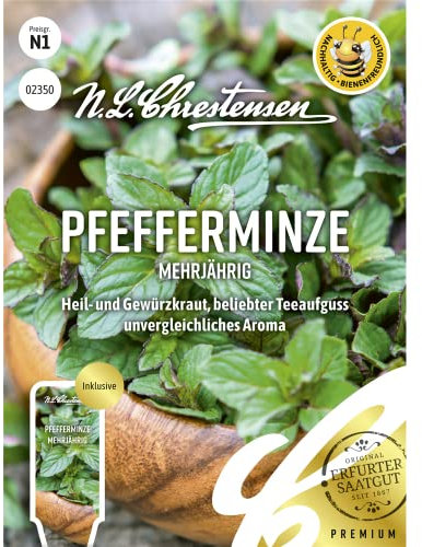 Pfefferminze Mehrjährig Samen, Saatgut