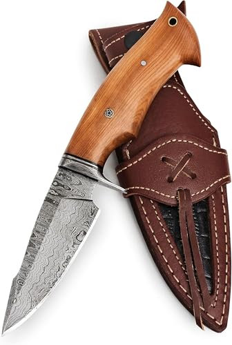 BIGCAT ROAR Predator Hunter - Couteau de Chasse Acier Damas 25,4 cm - Manche Bois d’Olivier, Étui Cuir - Bushcraft, Survie, Outdoor - Cadeau Homme, Chasseur, Collectionneur ou Passionné de Forêt