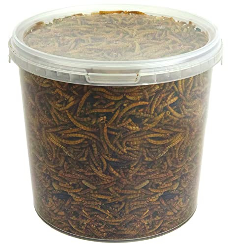 GardenersDream Vermi Secchi - Nutrienti Trattamenti per Cibo Selvatico da Giardino per Uccelli (2.5L)