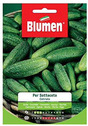 SEMI CETRIOLO SOTTACETO BLUMEN