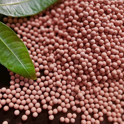 2 lb Ceramsite Horticultural Clay Pebbles, 3mm-5mm Decorative ceramsite Balls for Plant Paving, for Plant pots, vase fillers, Clay Pebbles for Fish and Turtle Tanks