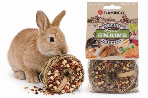 Foin Lapin - Snack Foin Donut - panais Betterave & Carotte - 9x9x6 cm - 65 g - pour rongeurs - 100% Comestible - sans céréales ni sucres ajoutés - fabriqué en Europe