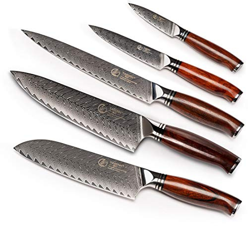 YARENH Set di Coltelli da Cucina Professionali 5 Pezzi, 73 Strati Acciaio Damasco Inossidabile, Manico in Sandalo Ergonomico, Set Coltello da Cucina Chef di Damasco