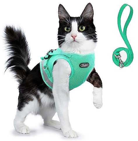 Supet Ensemble Harnais et Laisse pour Chat – Gilet en Maille Souple réglable avec Sangle réfléchissante pour Promener Chat, Chiot et Lapin