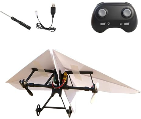 Kit de avión RC DIY | Aeronave para el jardín - Avión teledirigido eléctrico,Ideal para niños niñas parque playa camping escuela cumpleaños jardín picnic