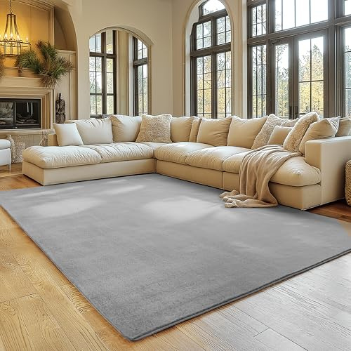 SIMPEX Alfombra Plata 200x280 cm Alfombra Lavable de Pelo Corto, Antideslizante y Suave, Diseño Monocromático Moderno para Sala, Dormitorio, Cocina y Habitación Infantil