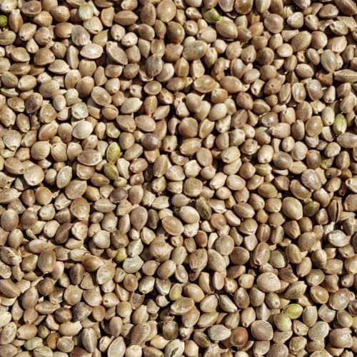 Supravit Hanf 5kg - Hanfsamen Vogelfutter & Wildvogelfutter - energiereiche Ergänzung zum Körnerfutter für Vögel - enthält wichtige Omega-3-Fettsäuren