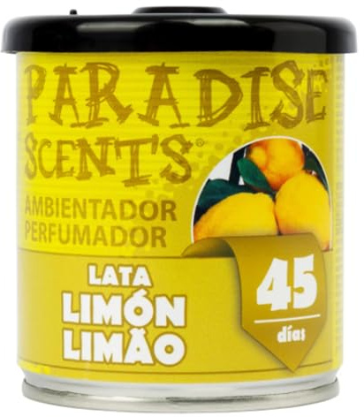 Auto-Lufterfrischer Zitrone 100g. B6SO. 6er-Pack.