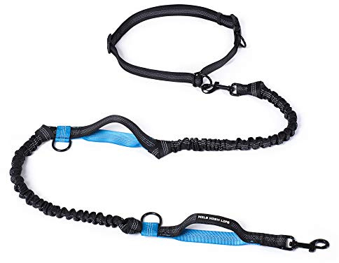 Mile High Life Guinzaglio a mani libere, guinzaglio in vita per cani, corsa, allenamento e jogging, cintura regolabile con doppio manico imbottito, elastico riflettente per cani di taglia media e