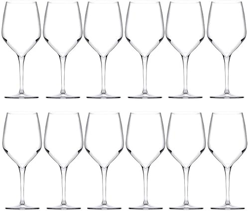 Queensway Home & Dining Stemmed Wine Glasses, Champagne Flutes, Elegant Crystal Glassware for Cocktail, Dinner Party, Bar, Home & Dining, Safe, Set of 6 or 12 (12, 470ml Wine Glasses)