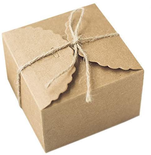 50 Stück Kraftpapier Faltschachtel, Kraftpapier Box, Kleine Schachteln Mit Deckel, Karton Faltschachtel Geschenkkarton, mit 50 Juteseilen und 50 Anhängern, für Geschenke, Party, Geburtstag