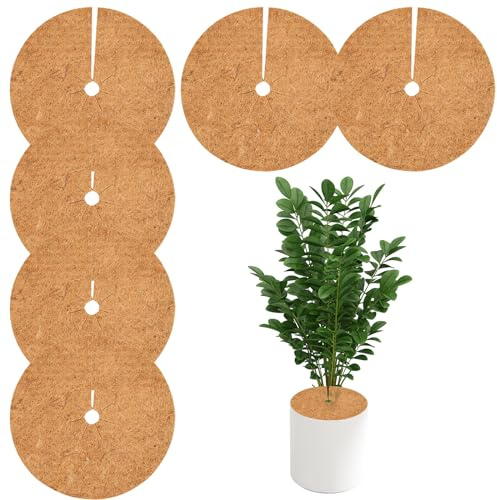 Kokosmulchskiva: 6 stycken vinterskydd kokos skydd Ø 40 cm kokosskiva vinterskydd växter, kokosmatta vinterskydd kokos växtskydd krukskydd frostskydd köldskydd för växter