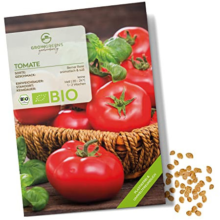 BIO Graines de tomates (Rose de Berne) - Graines de tomates de culture biologique idéales pour la culture dans le jardin, sur le balcon ou dans le potager surélevé